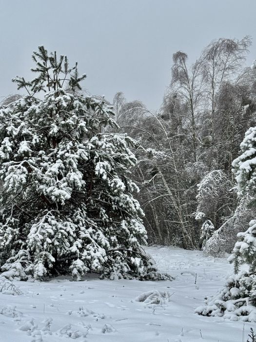 Земельна ділянка 3,6 Га! Колонщина!