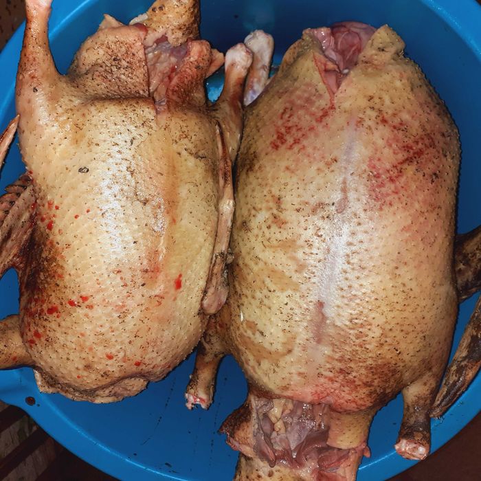 Индоутка белая мясная порода на племя живым весом или забой под заказ