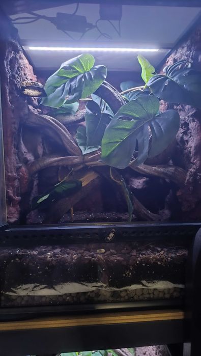 Terrarium 45x45x60