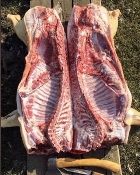 Продам тушки свеней