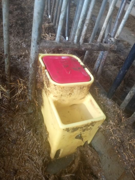 Wygrodzenia dla bydła cieląt budki drabiny poidła kojce spinder