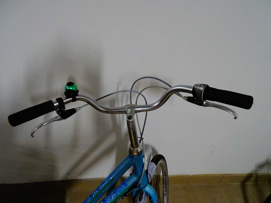 Rower Batavus Flash