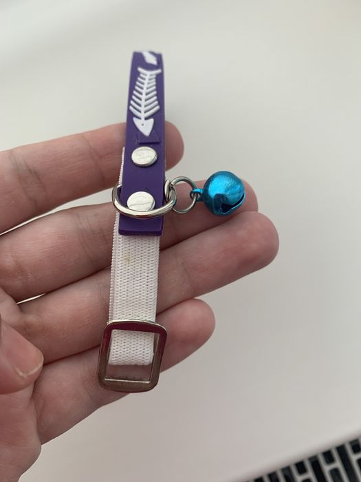 Нашийник для котів