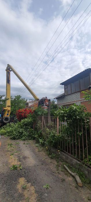 Спил, видалення, обрізка дерев, корчування пнів.Автовышка,вывоз мусора