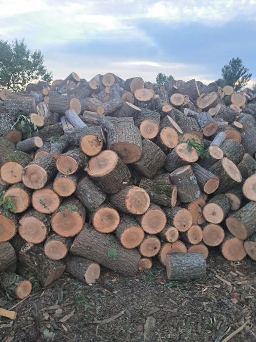 Дрова твердих порід