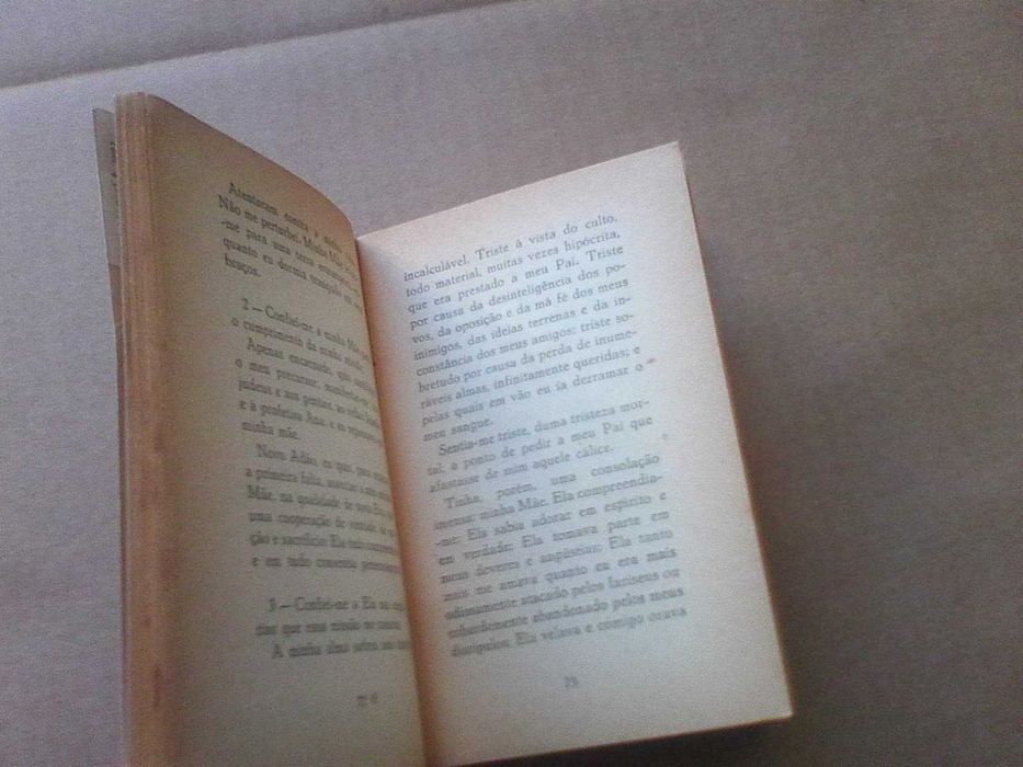 O Meu Ideal Jesus Filho de Maria