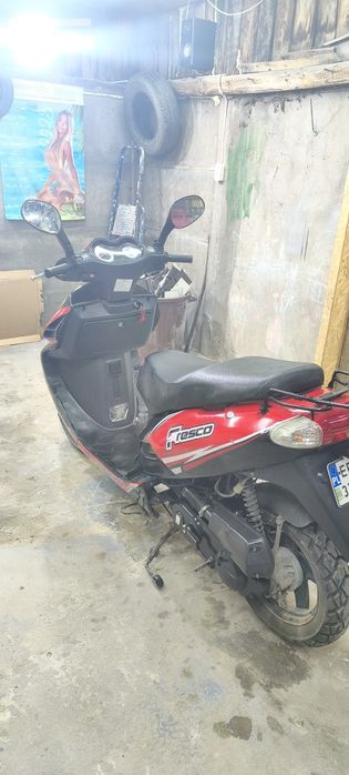 Toros Fresco 50cc 4t