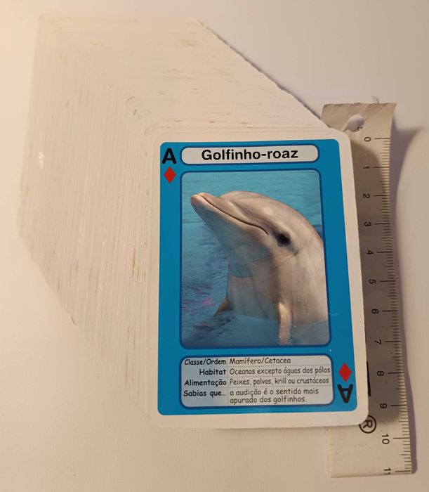 Baralho Cartas Jardim Zoológico Lisboa