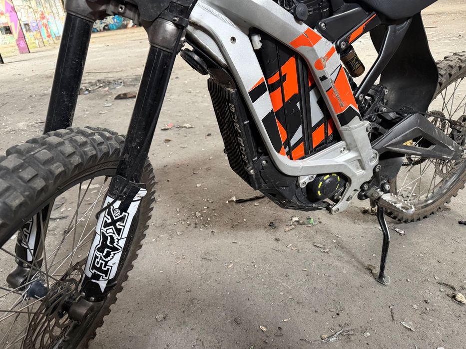 Surro light bee x 2022r