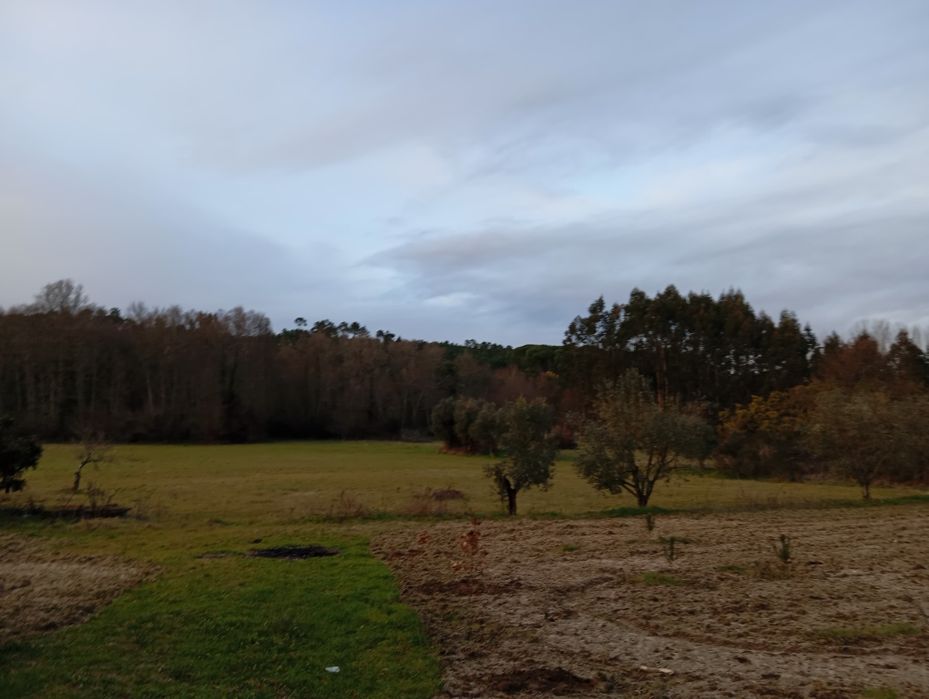 Terreno Agrícola - Vilar Seco