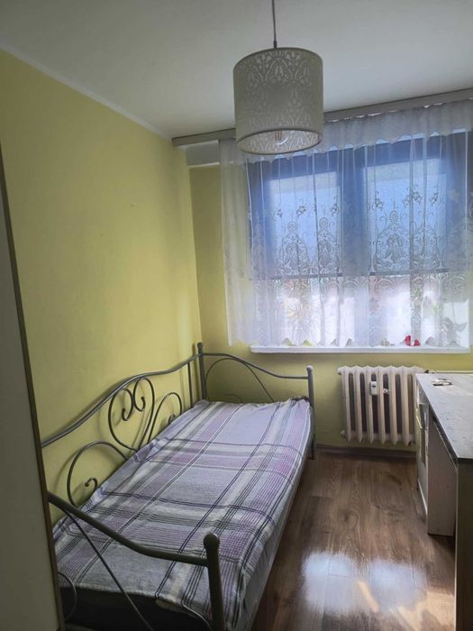 Mieszkanie do wynajęcia