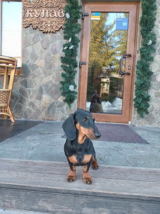 Мальчик для вязки 500грн.