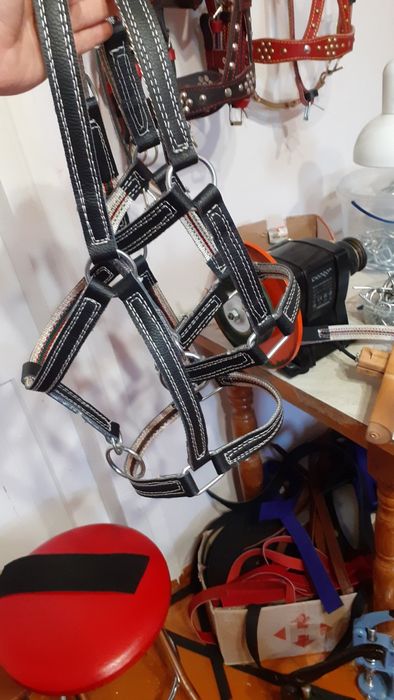 корове недоуздок кантар кантарка телёнку быку джерси голштын айширская