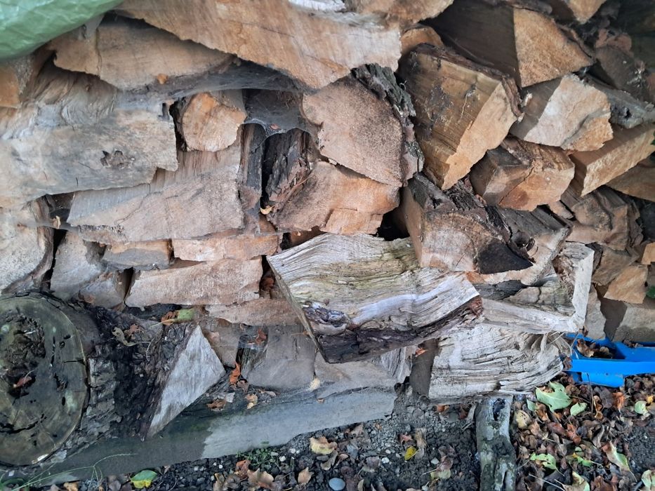 Drewno liściaste sezonowane wierzba, jabłoń