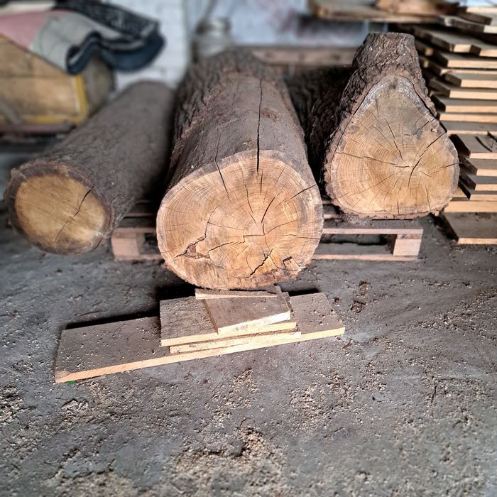 Dąb w kłodach sezonowany