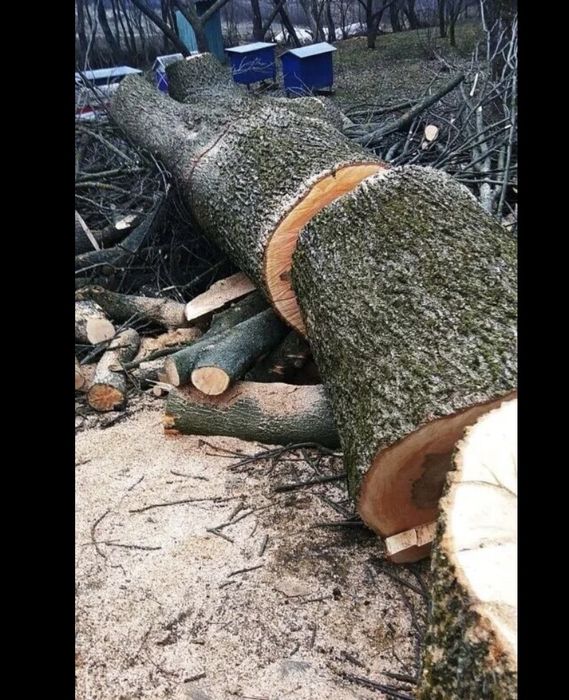 Надаємо послуги по зрізанню дерев та косінню трави