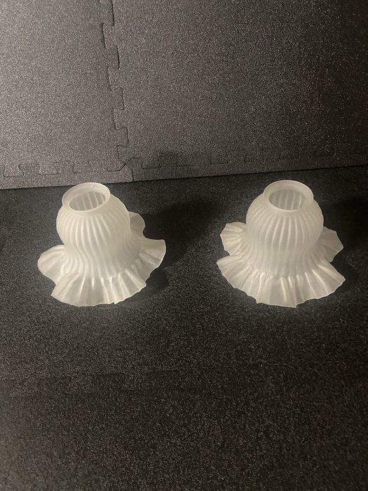 Par de tulipas antigas