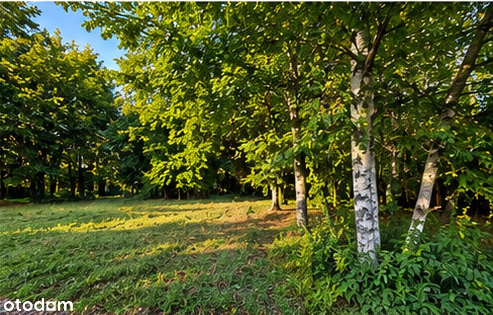 Działka budowlana 1005 m² | Łazy | MPZP | media | asfalt