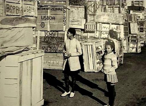 4 livros ADULCINO Silva