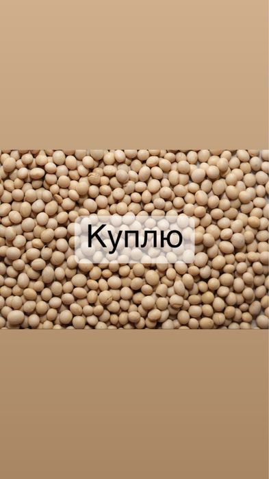 Соя, врожай 2025р. Ціна 12000