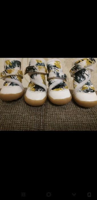 обувь для собак зимняя