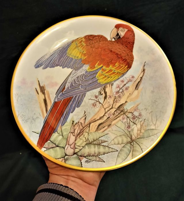 Prato Arara Escarlate Amazonas