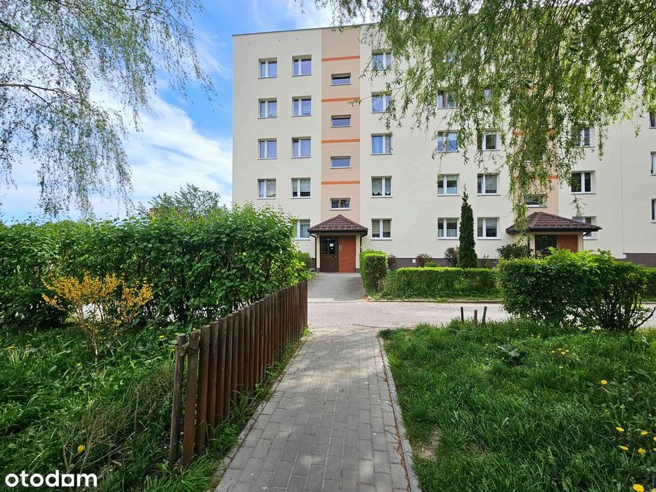 Słoneczne, przestronne, 3-pokojowe mieszkanie w świetnej lokalizacji