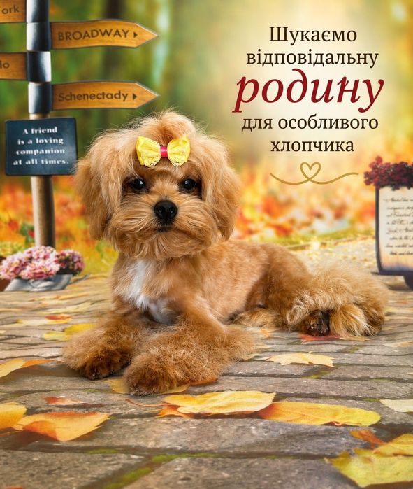 Дайте йому шанс на щасливе життя