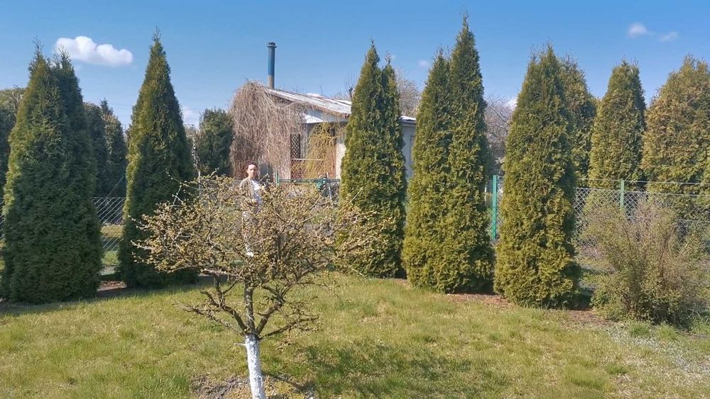 Sprzedam działkę ROD
