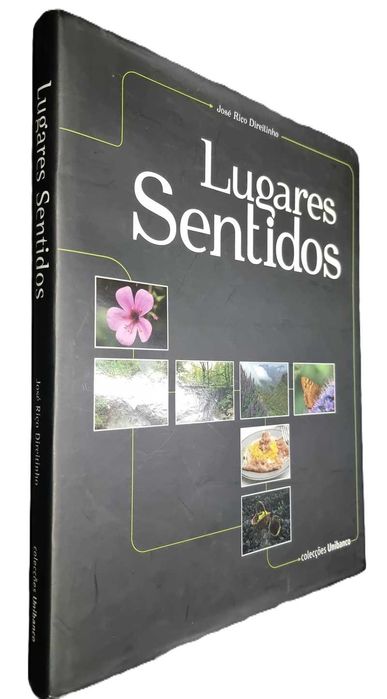 Lugares Sentidos de  José Riço Direitinho