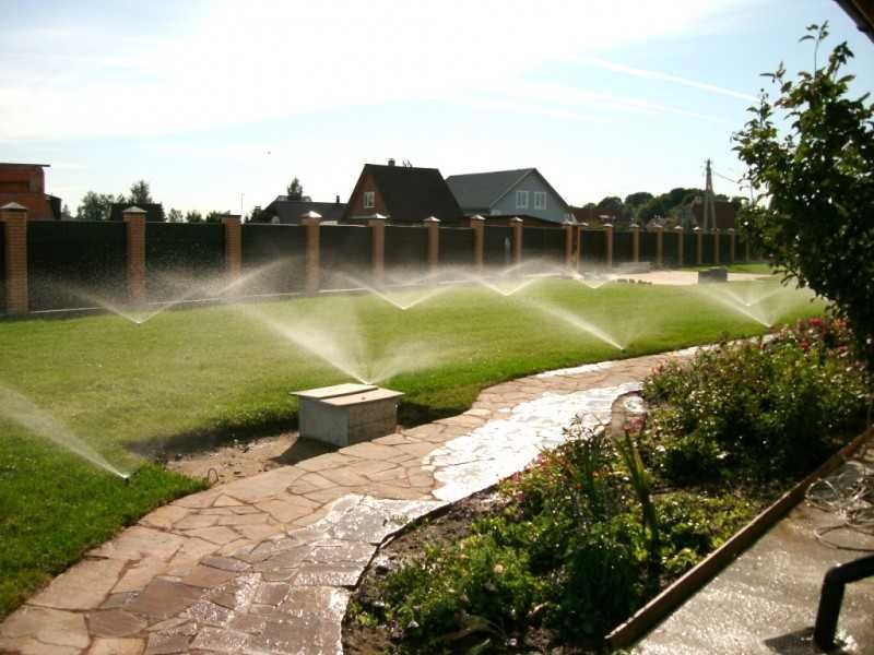 Рулонний газон та посівний газон