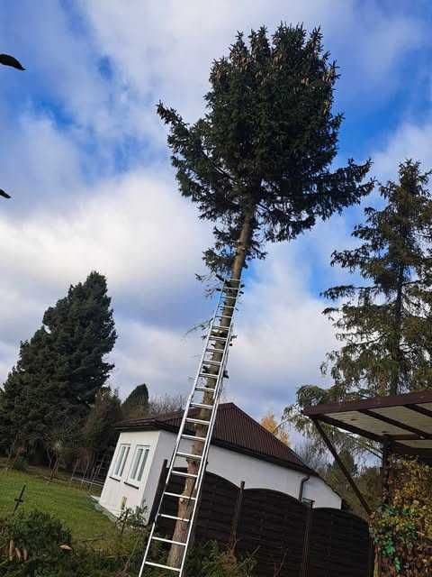 Wycinka drzew W trudno dostępnych miejscach / Transport wywrotką 3,5t