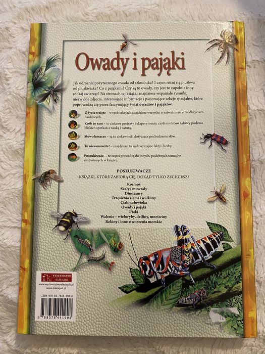 książka  owady i pająki