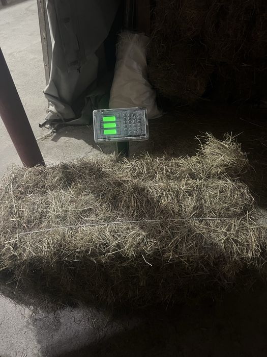 Сіно лугове тюковане