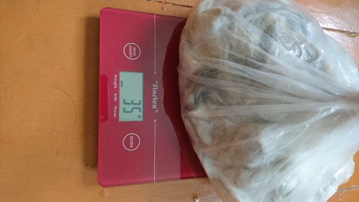 Шерсть кролика породы львиная головка