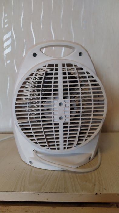 Товар заказан покупателемКактус комнатный