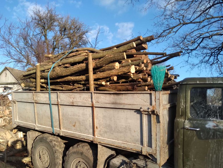 Продам дрова дуб,акація,сосна