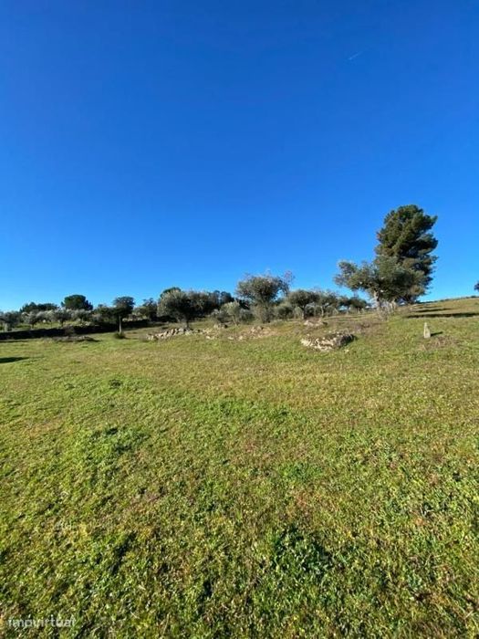 Quinta — Escalos De Cima E Lousa, Castelo Branco