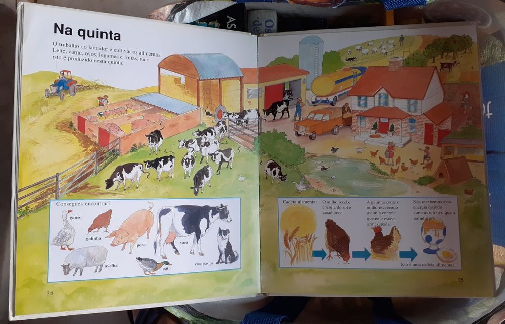 Livro, Tudo sobre o nosso mundo, Melanie e Chris Rice