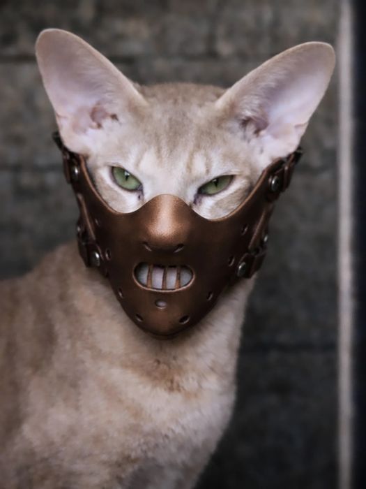 Очаровательный маньяк)