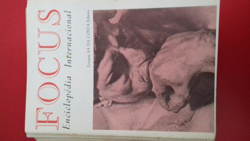 35 Fascículos da enciclopédia Focus - Anos 60