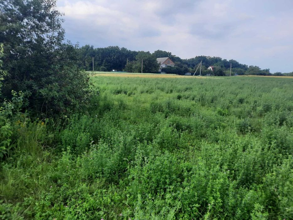 Земельна ділянка 14 соток