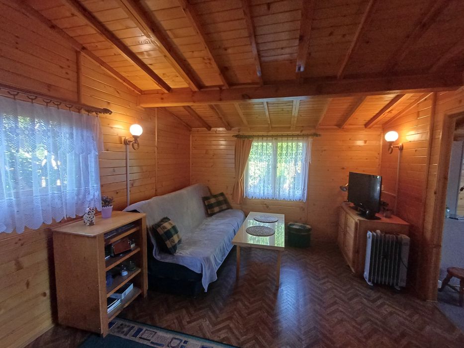 Sprzedaż działka ROD Wudzyn Międzylesie-Zachód