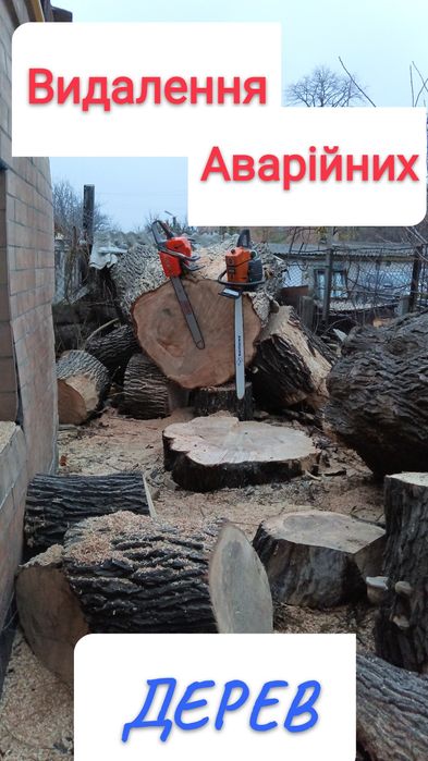 Спиляти Дерево, Зрізати Дерево, Обрізка, Спил, Розчистка території.