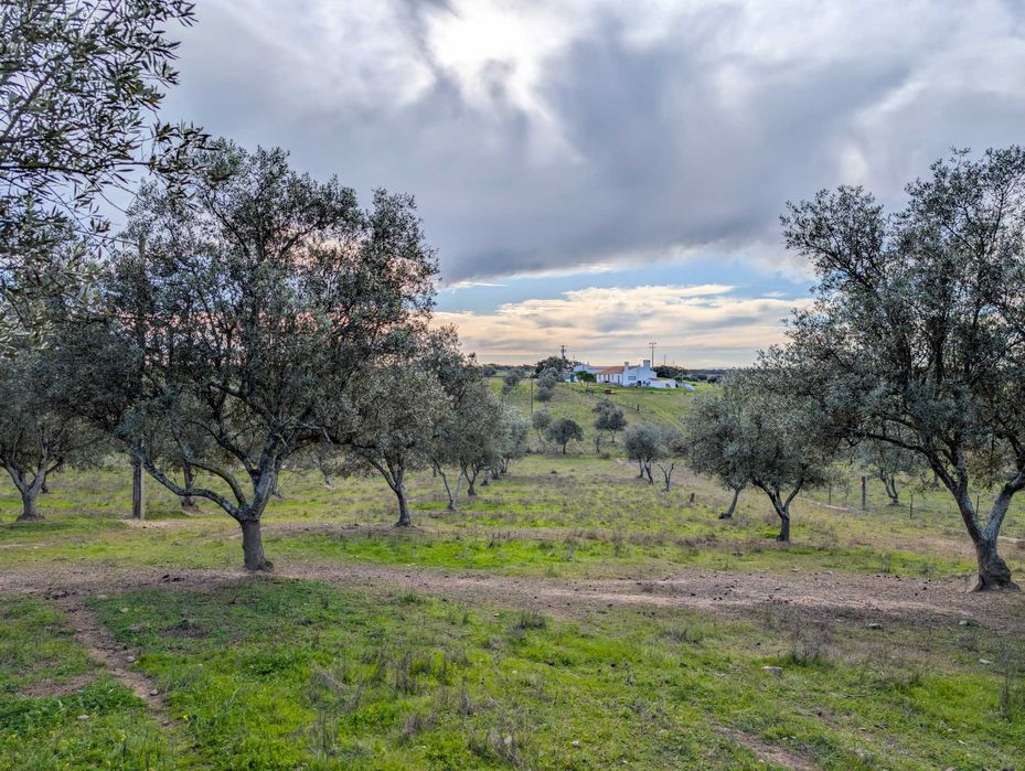 Propriedade única com a possibilidade de construção até 500 m²