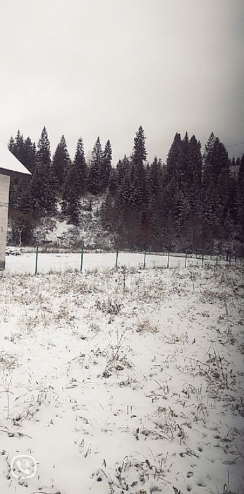 Відпочинок в мальовничому місці на березі річки у селі Ізки