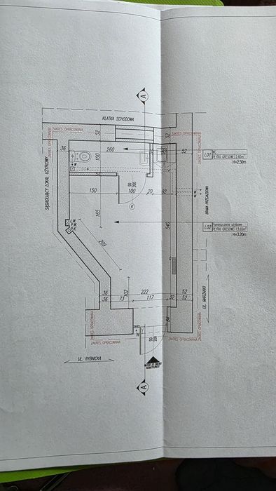 Zdjęcie 8