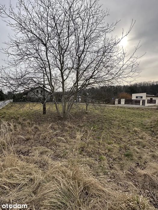 Działka 854 m² w Skotnikach, gm. Zgierz - Widok 3