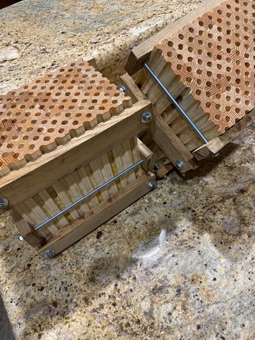 Kokony murarki rogatej i ogrodowej