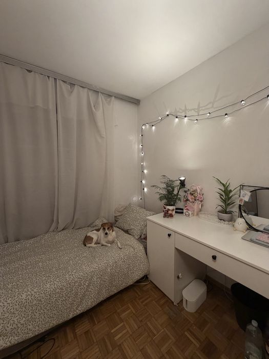 Pokój w centrum, PETFRIENDLY, duze mieszkanie